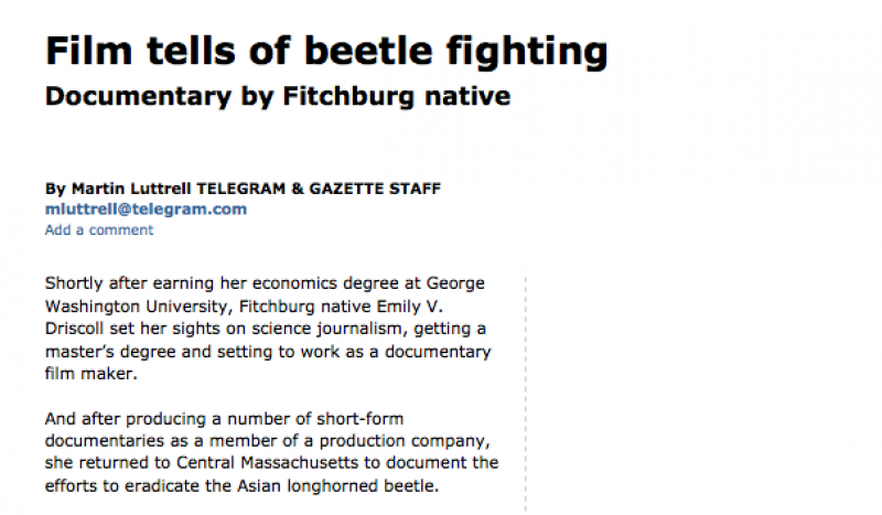 Bonsci Films News Film Tells of Beetle Fighting